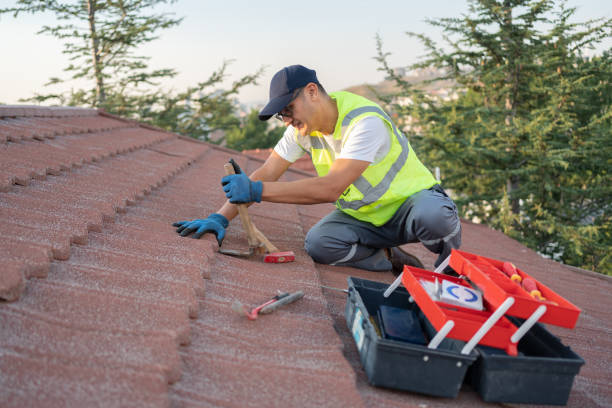 Best Roof Gutter Cleaning  in Dry Ridge, OH
