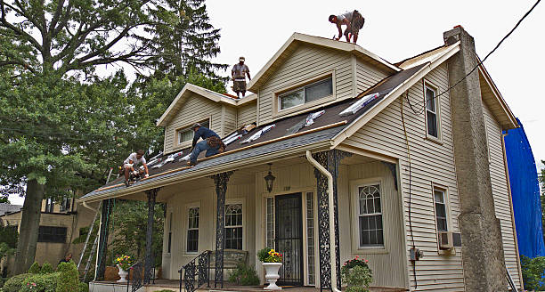 Best Roofing Contractor Near Me  in Dry Ridge, OH