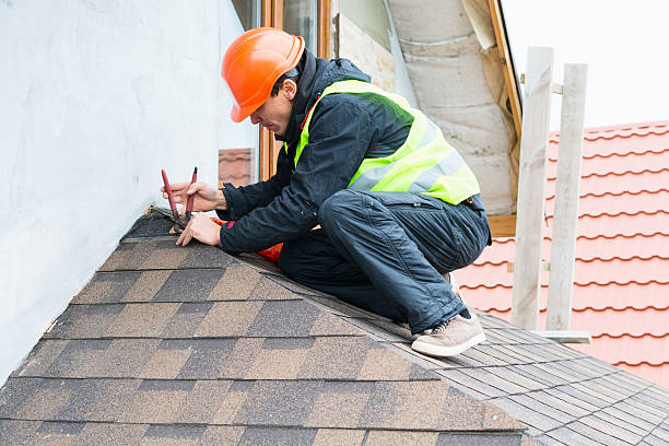 Best Gutter Installation and Roofing  in Dry Ridge, OH